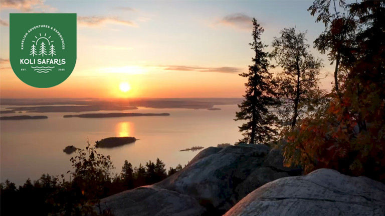 Koli Safaris